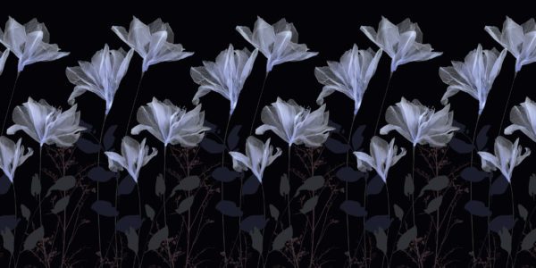 10020 - SECRET GARDEN