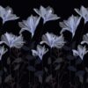 10020 - SECRET GARDEN