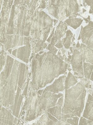 Carrara3