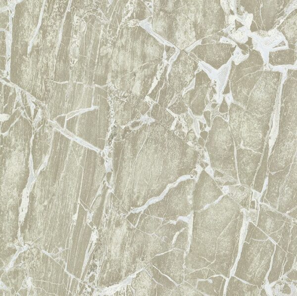 Carrara3