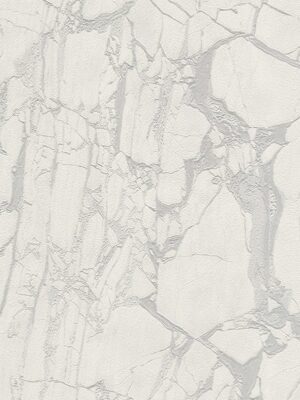 Carrara3