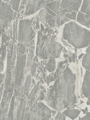 Carrara3