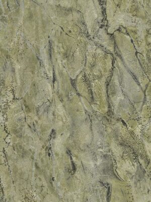 Carrara3