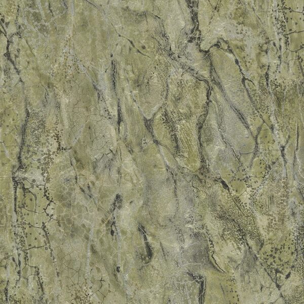 Carrara3
