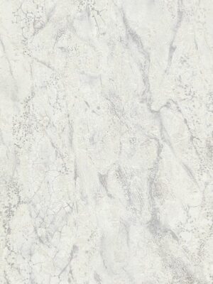 Carrara3