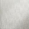 64614_Jupiter_fossil_grey_closeup_1 JUPITER FOSSIL GREY