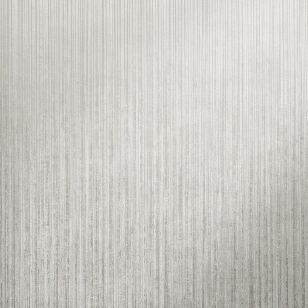 64614_Jupiter_fossil_grey_closeup_1 JUPITER FOSSIL GREY