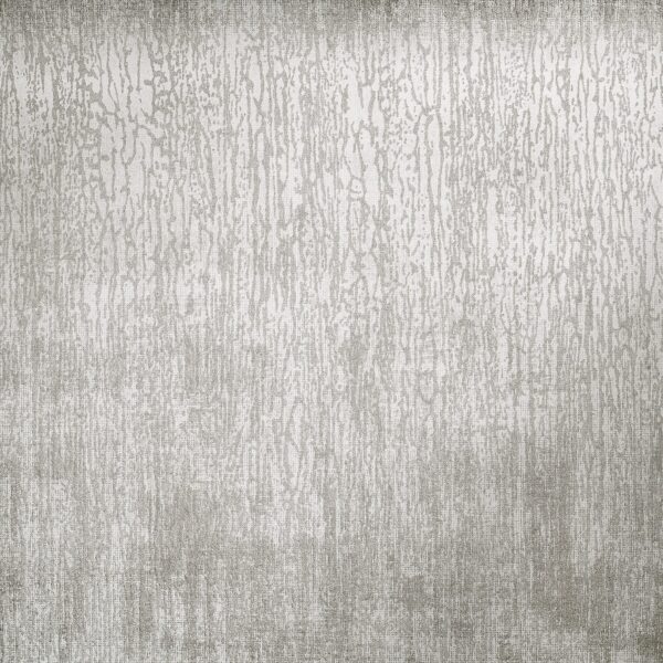 81208_Neptun_fossil_grey_closeup_1 NEPTUNE FOSSIL GREY