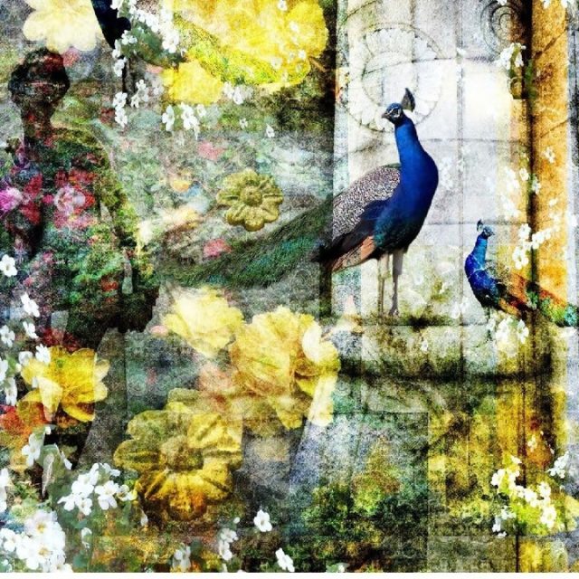 New Mural Collection
#ArtForWalls is exactly that Art pieces for your walls!
This inspiring & enchanting range are suitable for hotels, bars, restaurant's, retail, offices & residential projects.  These #murals are customisable and designs can be tailored in size and colours to suit your specific design project.
This inspiring & enchanting range is suitable for hotels, bars, restaurants, retail, offices & residential projects.  These murals are customisable being able to be tailored in size & colour to suit your specific design project.
#wallmurals #wallpaperaustralia #WallpaperMelbourne #muralsmelbourne #customwalls #lovewallart #walldecor #texturalwalls